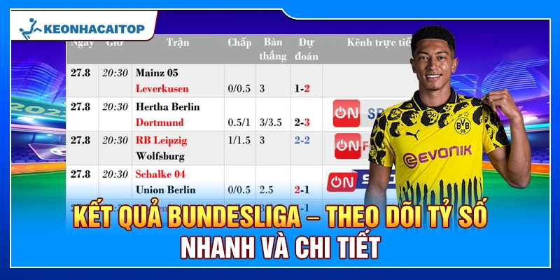 Kết Quả Bundesliga – Theo Dõi Tỷ Số Nhanh Và Chi Tiết