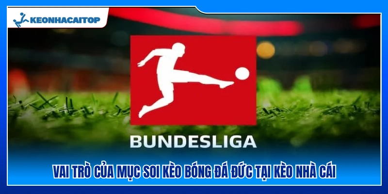 Tầm quan trọng của soi kèo bóng đá Đức tại Kèo Nhà Cái