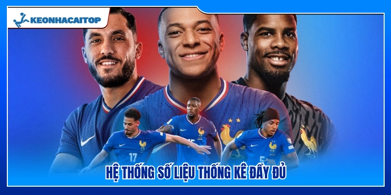 Hệ thống thống kê dữ liệu chi tiết